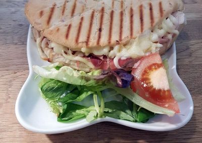 Panini with fresh salad